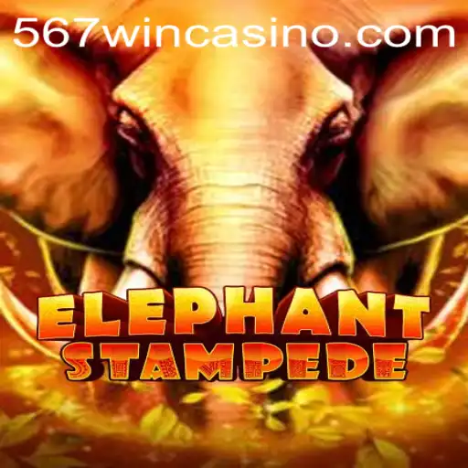 Discover the Adventurous World of ElephantStampede